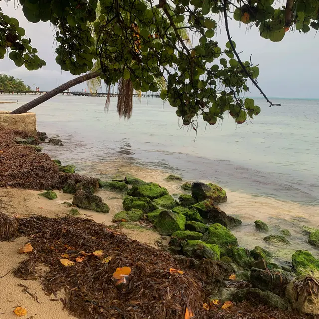 Isla Mujeres, México — Dec 25, 2023, 4:34:10 PM UTC