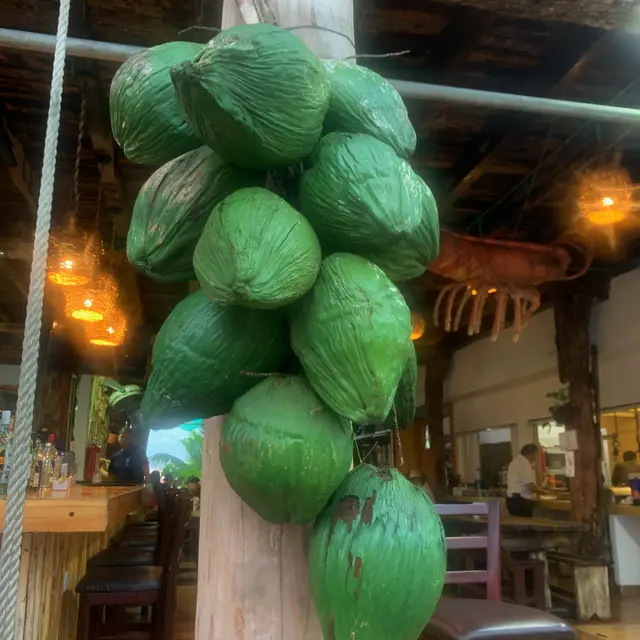 Isla Mujeres, México — Dec 25, 2023, 6:04:16 PM UTC