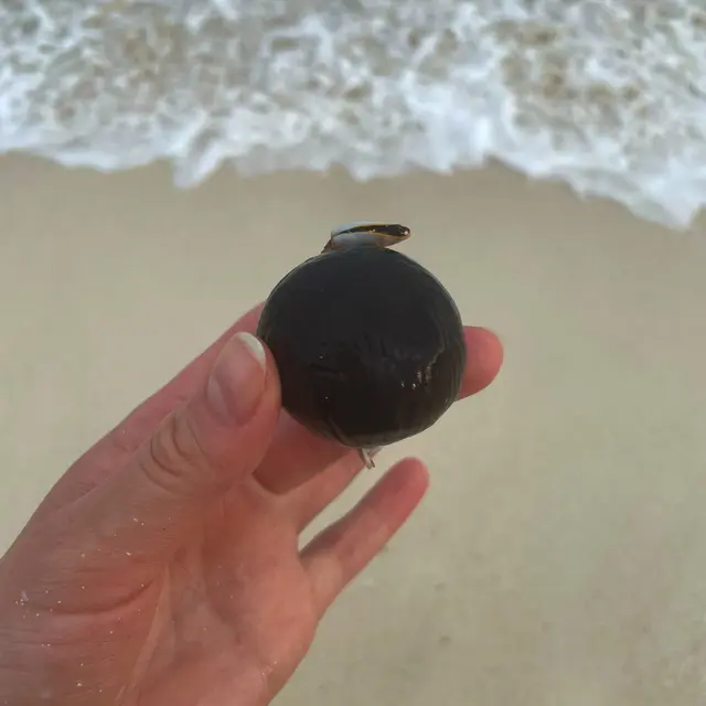 Cancún, México — Dec 27, 2023, 9:53:11 PM UTC