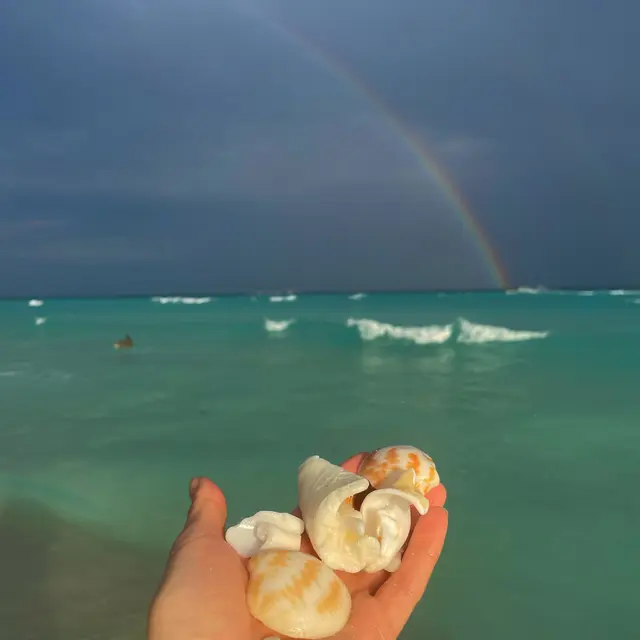 Cancún, México — Dec 27, 2023, 9:59:02 PM UTC