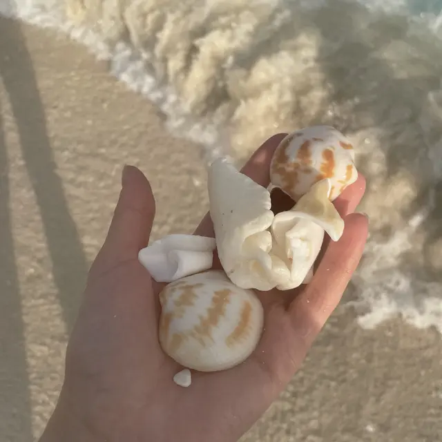 Cancún, México — Dec 27, 2023, 9:59:06 PM UTC