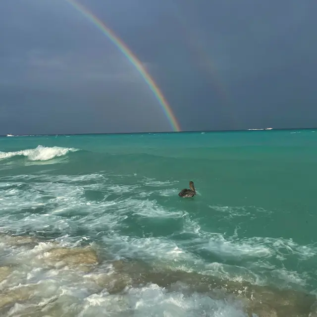 Cancún, México — Dec 27, 2023, 10:00:03 PM UTC
