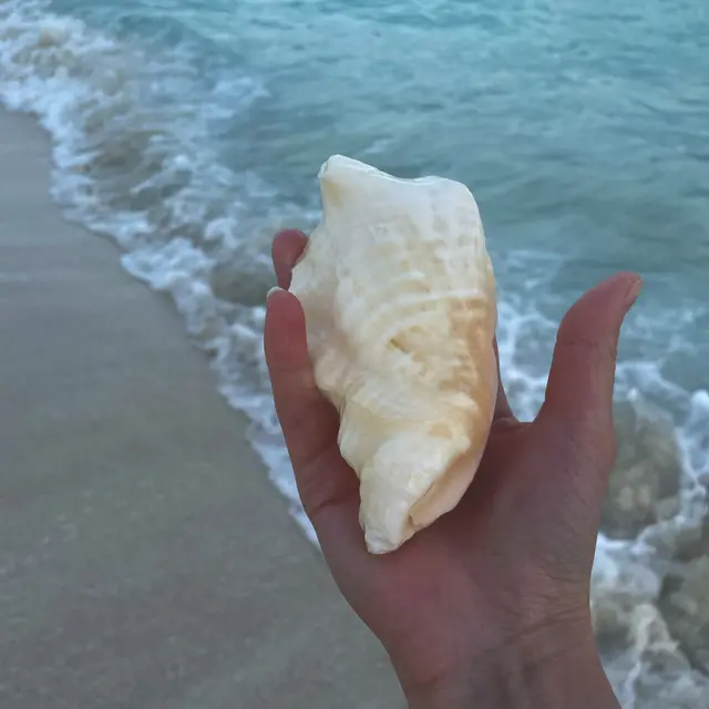 Yucatan