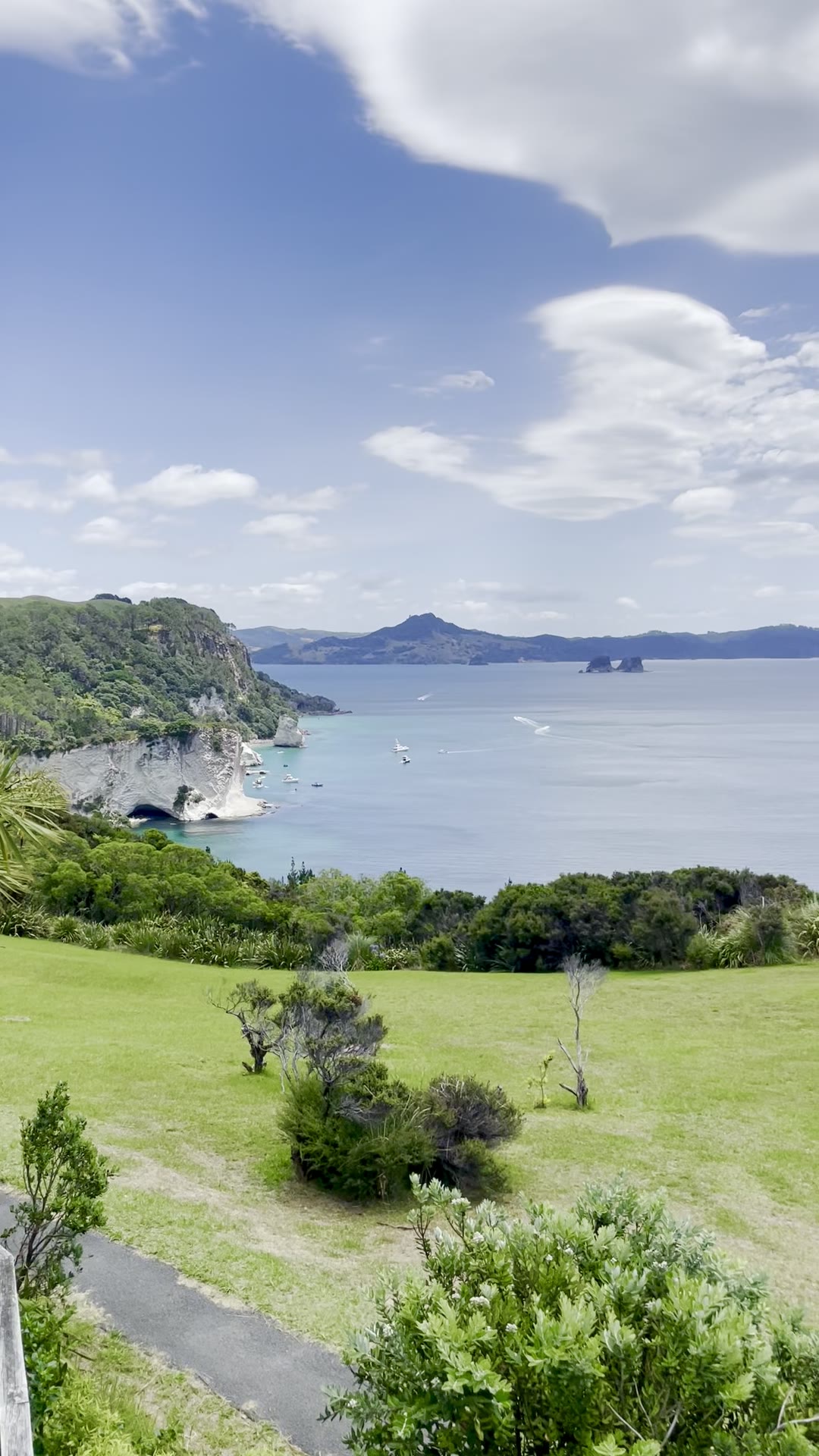 Thames-Coromandel District, New Zealand / Aotearoa — 8 Jan 2025, 00:08:17 UTC
