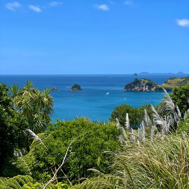 Thames-Coromandel District, New Zealand / Aotearoa — 7 Jan 2025, 23:42:36 UTC