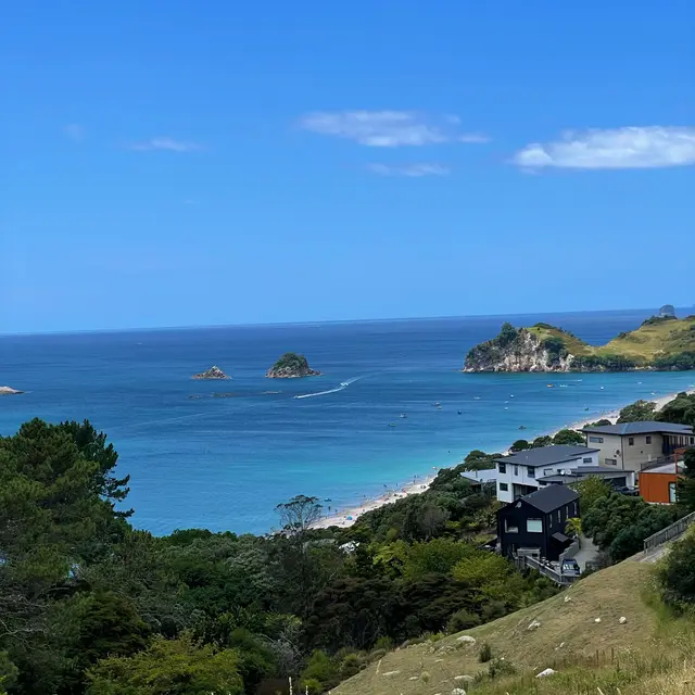 Thames-Coromandel District, New Zealand / Aotearoa — 8 Jan 2025, 00:00:46 UTC