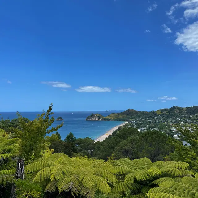 Thames-Coromandel District, New Zealand / Aotearoa — 8 Jan 2025, 00:02:03 UTC
