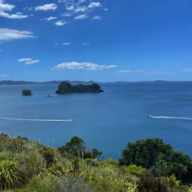Thames-Coromandel District, New Zealand / Aotearoa — 8 Jan 2025, 00:08:05 UTC