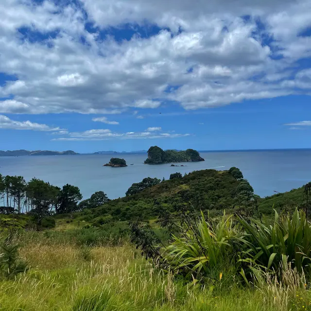 Thames-Coromandel District, New Zealand / Aotearoa — 8 Jan 2025, 01:06:59 UTC