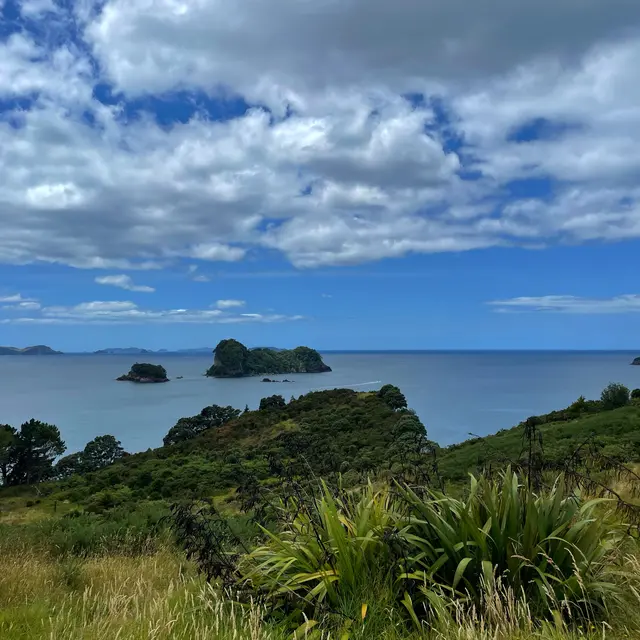 Thames-Coromandel District, New Zealand / Aotearoa — 8 Jan 2025, 01:07:04 UTC
