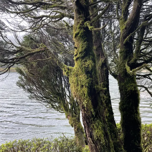 Ponta Delgada, Portugal — 28 Mar 2025, 13:33:08 UTC