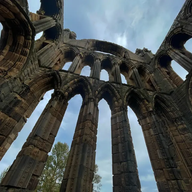 Elgin