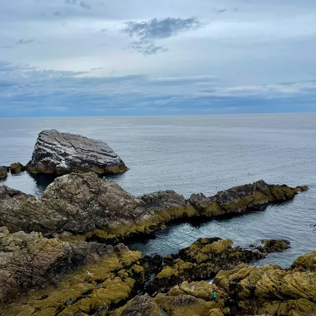 Moray, United Kingdom — 10 Aug 2025, 18:02:08 UTC