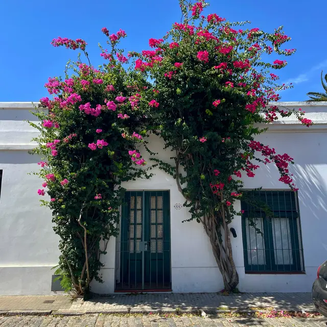 Colonia del Sacramento, Uruguay — 1 Jan 2026, 13:28:18 UTC